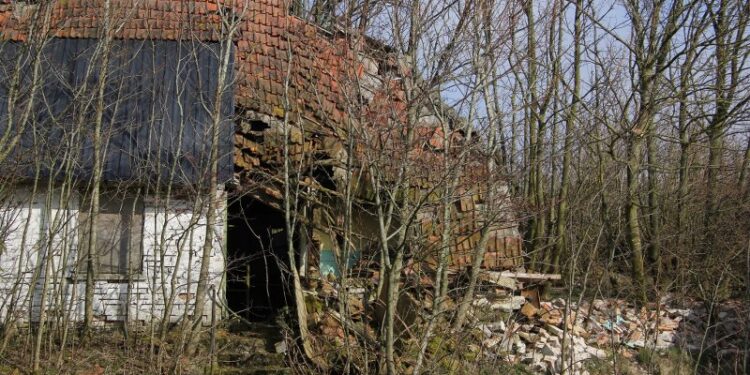 Genhusninger finder dog ikke sted i denne ruin, som er foreviget ved Højrup. Foto: Tommy Christian Andersen.