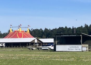 Cirkus Arena har hvert år forestillinger på Dyrskuepladsen i Hjørring. Foto: Palle W. Nielsen