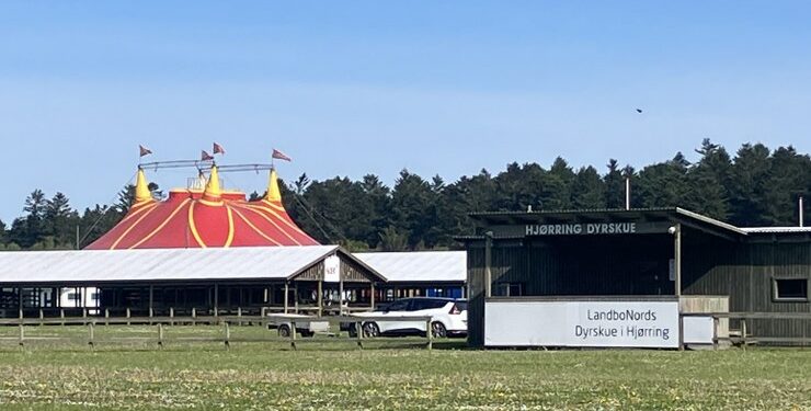 Cirkus Arena har hvert år forestillinger på Dyrskuepladsen i Hjørring. Foto: Palle W. Nielsen