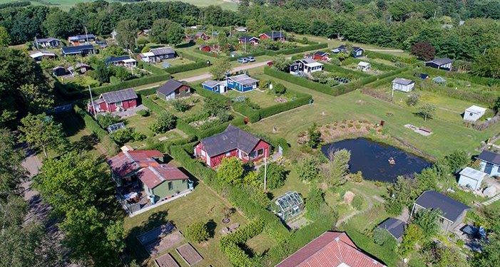 Foto: Fritidshaveforeningen Eriksminde.