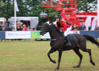 Foto: Hjørring Dyrskue.