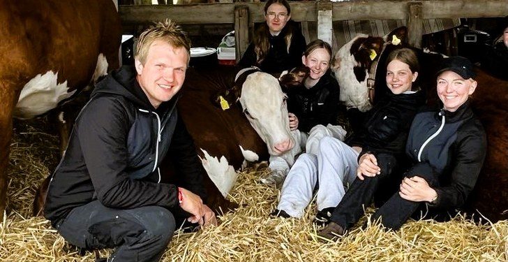 Lars Bak og Pernille blandt deres Hereforddyr sammen med hjælperne Sille, Frida,  Nanna og Mathilde. Foto: Niels Chr. Jakobsen.