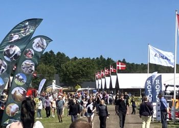 Hjørring Dyrskue er for hele familien. Foto: Palle W. Nielsen