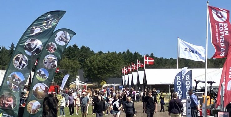 Hjørring Dyrskue er for hele familien. Foto: Palle W. Nielsen