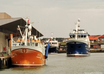 Fiskefartøjer ved Auktionskajen i Hirtshals. Foto: Dan Sejbjerg.