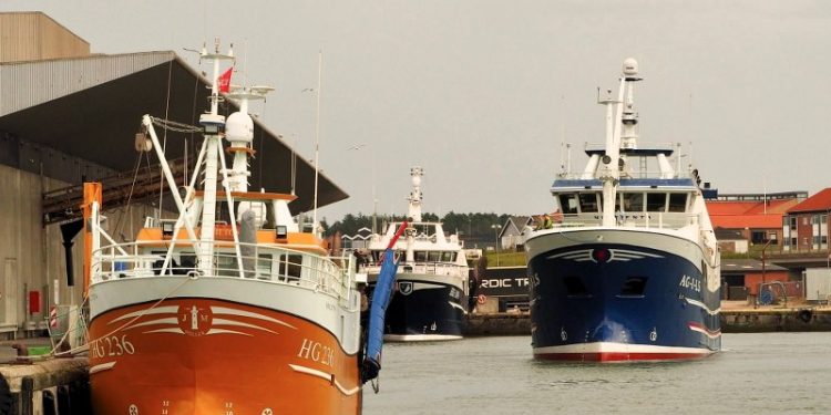 Fiskefartøjer ved Auktionskajen i Hirtshals. Foto: Dan Sejbjerg.