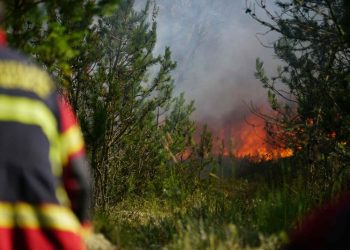 Foto: Kristoffer Vangsted.