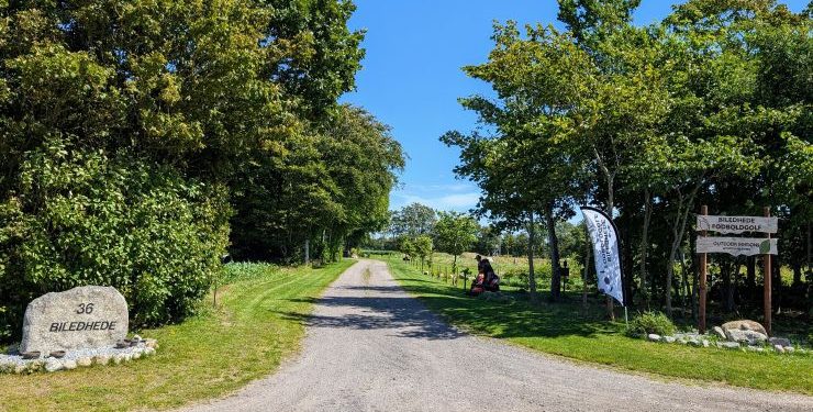 Biledhede Fodboldgolf i Bindslev er en populær aktivitet for alle aldre. Arkivfoto.