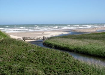 Liver Å ved Kærsgård Strand. Foto: Arkiv.
