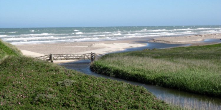 Liver Å ved Kærsgård Strand. Foto: Arkiv.