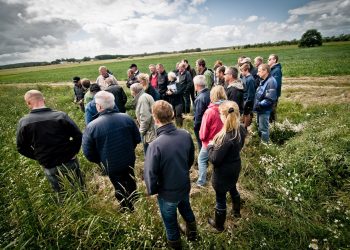 Foto: Økologisk Landsforening.