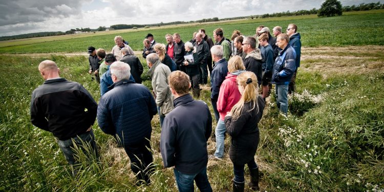 Foto: Økologisk Landsforening.