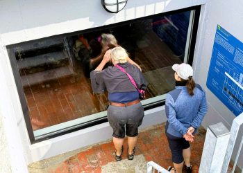 Under indvielsen af Det Sorte Tårn og Aktivitetspladsen fik mange sig et interessant kig ind til pumpestationens kraftige maskineri ved Snurrevodsvej. Foto: Niels Skipper.