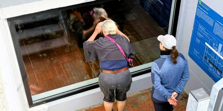 Under indvielsen af Det Sorte Tårn og Aktivitetspladsen fik mange sig et interessant kig ind til pumpestationens kraftige maskineri ved Snurrevodsvej. Foto: Niels Skipper.