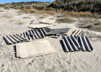 Tagpladerne på Kjul Strand. Foto: Jørgen Laursen.