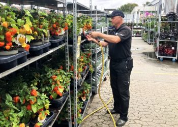 Kristian passer og plejer også japanske lygter i det spændende havecenter hos Varehuset A-Z Hjørring. Foto: Palle W. Nielsen