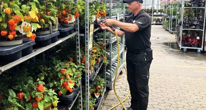 Kristian passer og plejer også japanske lygter i det spændende havecenter hos Varehuset A-Z Hjørring. Foto: Palle W. Nielsen