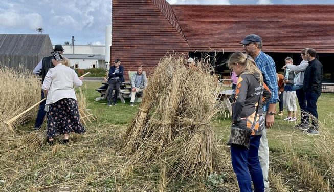 Kornets Hus syd for Hjørring er altid en spændende og lærerig oplevelse. Arkivfoto: Kornets Hus