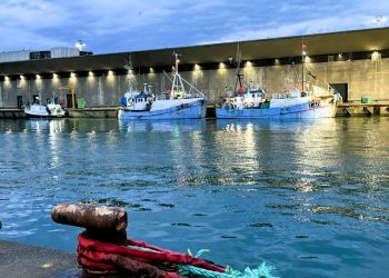 Auktionskajen i Hirtshals Havn. Foto: Niels Skipper.