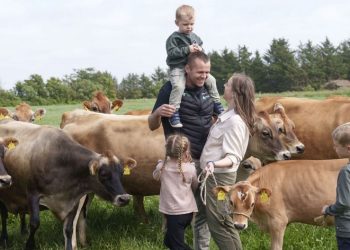 Nr. Haugaard på Lønstrupvej 489. Foto: Niels Åge Skovbo /FOKUS.