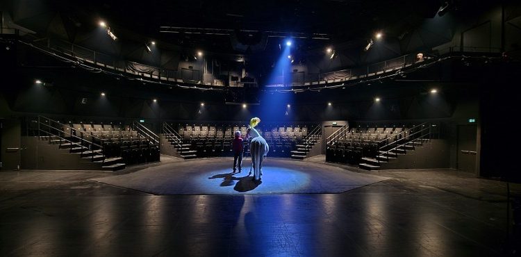 Scene fra En plads i manegen. Foto: Vendsyssel Teater.