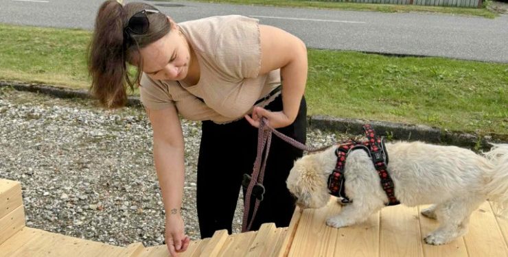 Kom nu, det er ikke farligt! Privatfoto.