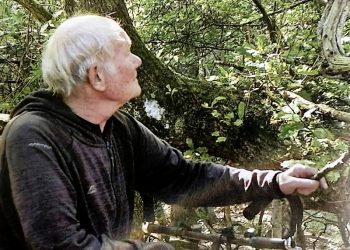 Peter Mouritzen på cykeltur i Blokhus Klitplantage. Illustration fra bogen.