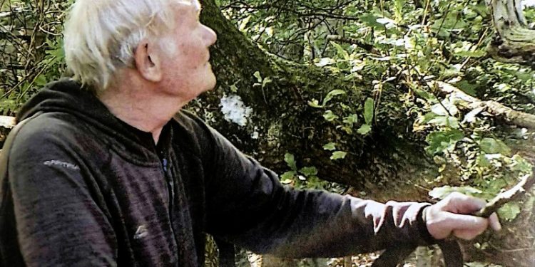 Peter Mouritzen på cykeltur i Blokhus Klitplantage. Illustration fra bogen.