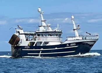 S486 Sajoni. Foto: Privat.