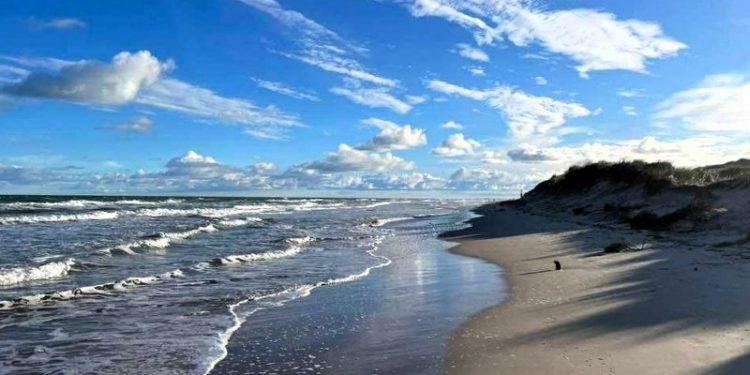 Foto: Thomas Klimek.