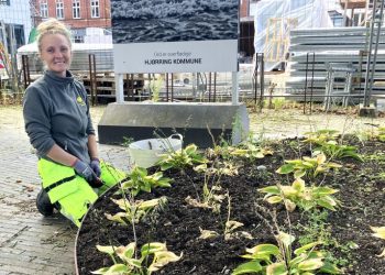 Sara fra Park og Vej i Hjørring Kommune pynter på det hele. Foto: Palle W. Nielsen