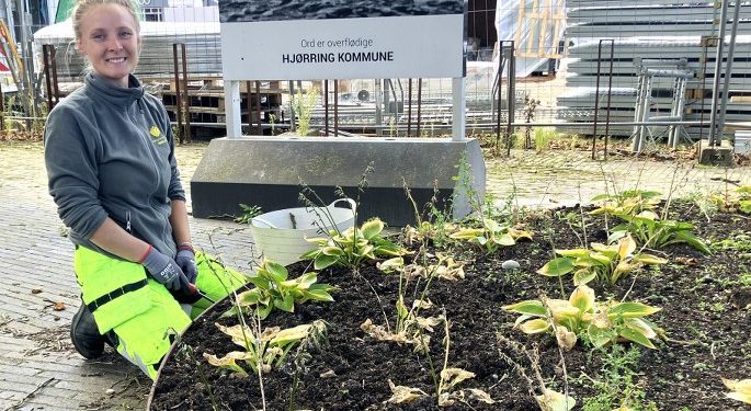 Sara fra Park og Vej i Hjørring Kommune pynter på det hele. Foto: Palle W. Nielsen