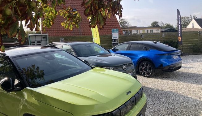 Tannistest 2025 ved Tannishus i Tversted. Foto: Palle W. Nielsen