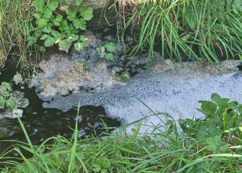 Foto: Christian Simonsen.