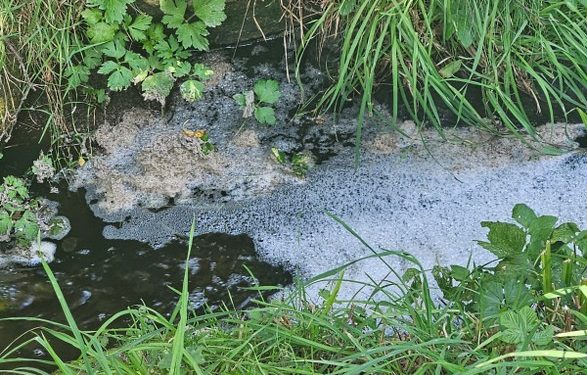 Foto: Christian Simonsen.