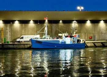 Der landes fisk til Hirtshals Fiskeauktion. Foto: Niels Skipper.