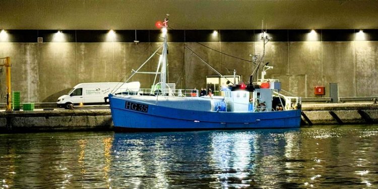 Der landes fisk til Hirtshals Fiskeauktion. Foto: Niels Skipper.