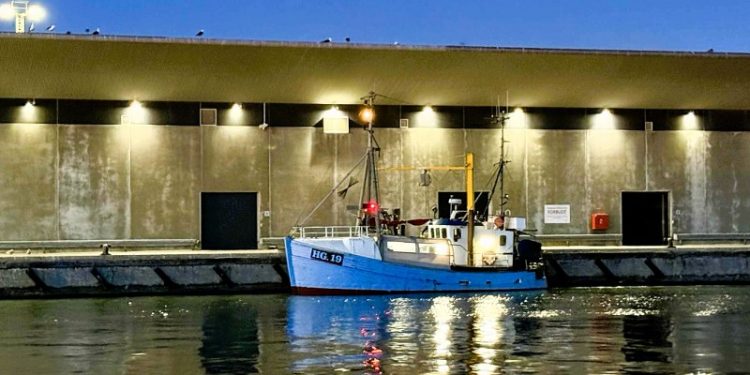 Der landes fisk til Hirtshals Fiskeauktion. Foto: Niels Skipper.