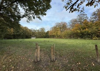 Her åbner hundeparken i Hjørring. Foto: Privat.