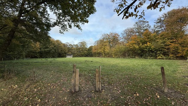 Her åbner hundeparken i Hjørring. Foto: Privat.