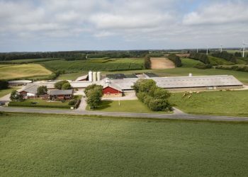 I september var der Åbent Landbrug på Nr. Haugaard ved Vennebjerg, som er en af mange landbrugsarbejdspladser i Hjørring Kommune.