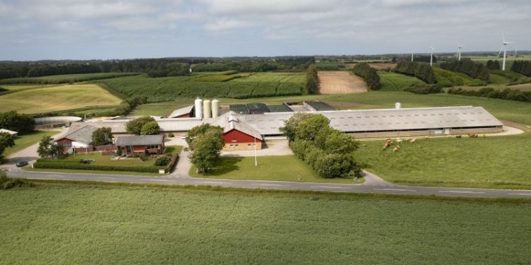 I september var der Åbent Landbrug på Nr. Haugaard ved Vennebjerg, som er en af mange landbrugsarbejdspladser i Hjørring Kommune.