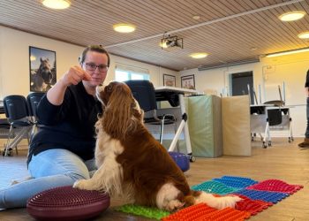 DogFitness med Majken Pedersen. Foto: CFD.