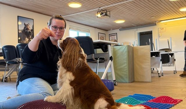 DogFitness med Majken Pedersen. Foto: CFD.
