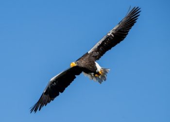 Foto: Winfried Schön.