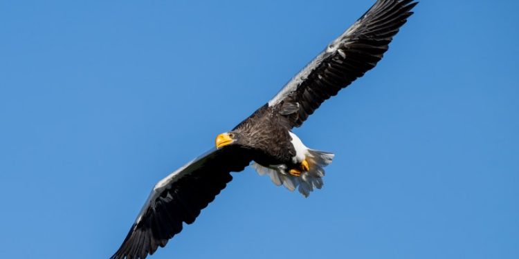 Foto: Winfried Schön.