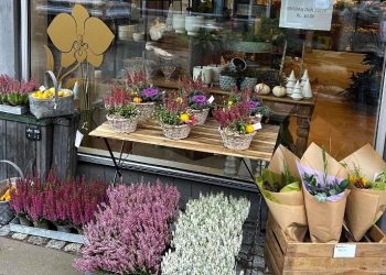 Den Vilde Orkidé er en ny butik i Hjørrings Strømgade. Privatfoto