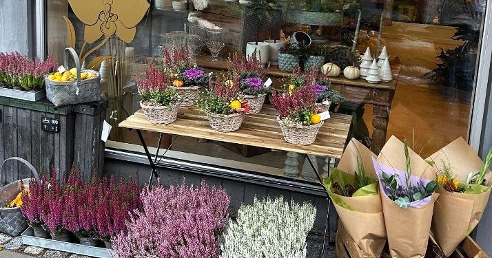 Den Vilde Orkidé er en ny butik i Hjørrings Strømgade. Privatfoto