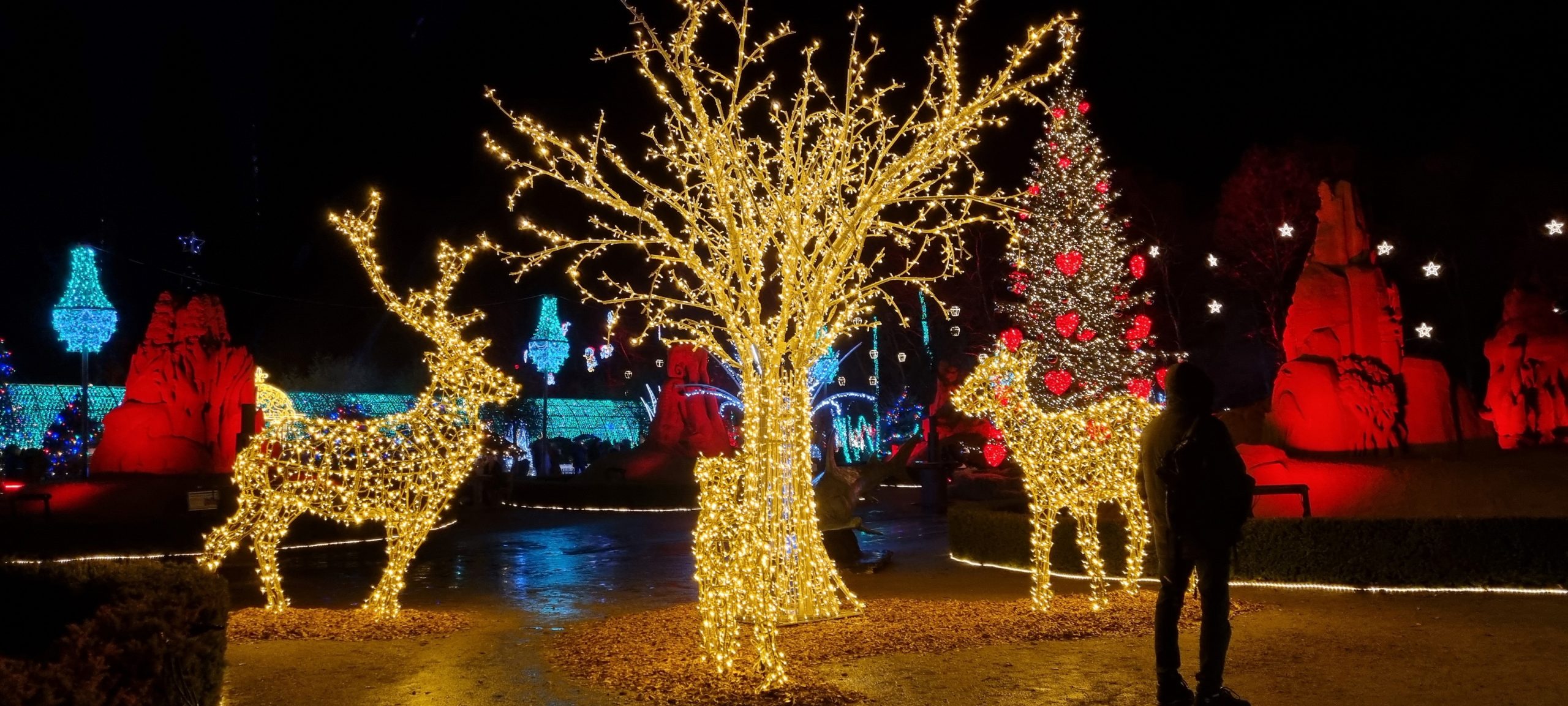 Magisk Jul 2025 i Skulpturparken. Foto: Jesper Kjærgaard