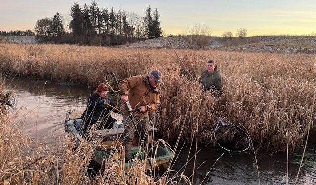 Smuk lørdag morgen ved Liver Å. Foto: Liver Å Lystfiskerforening. 